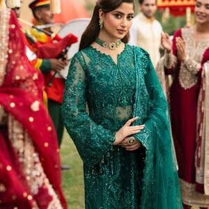 NEW ARRIVAL KANWAL MAILK NET DRESS