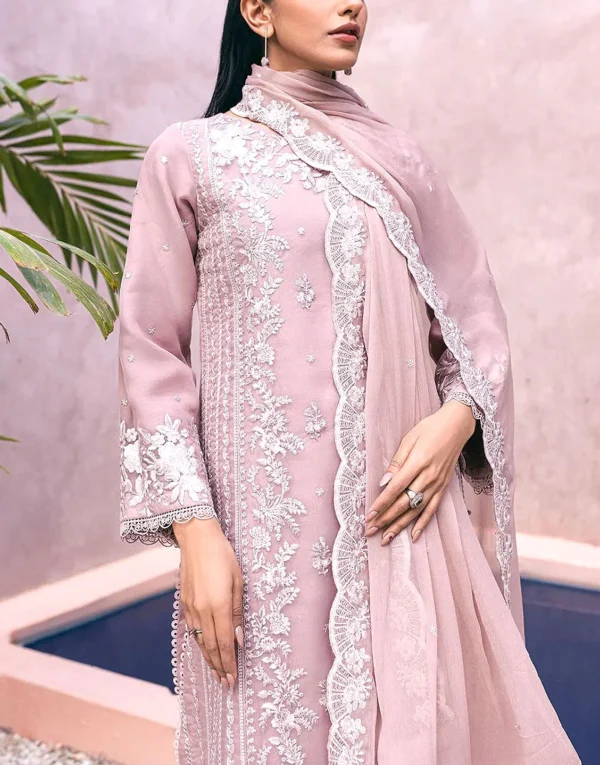 PARYT WERE PRIUIEM CHIFFION COLLECTION - Image 3