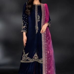 Naqashi Embroidered Velvet Dress